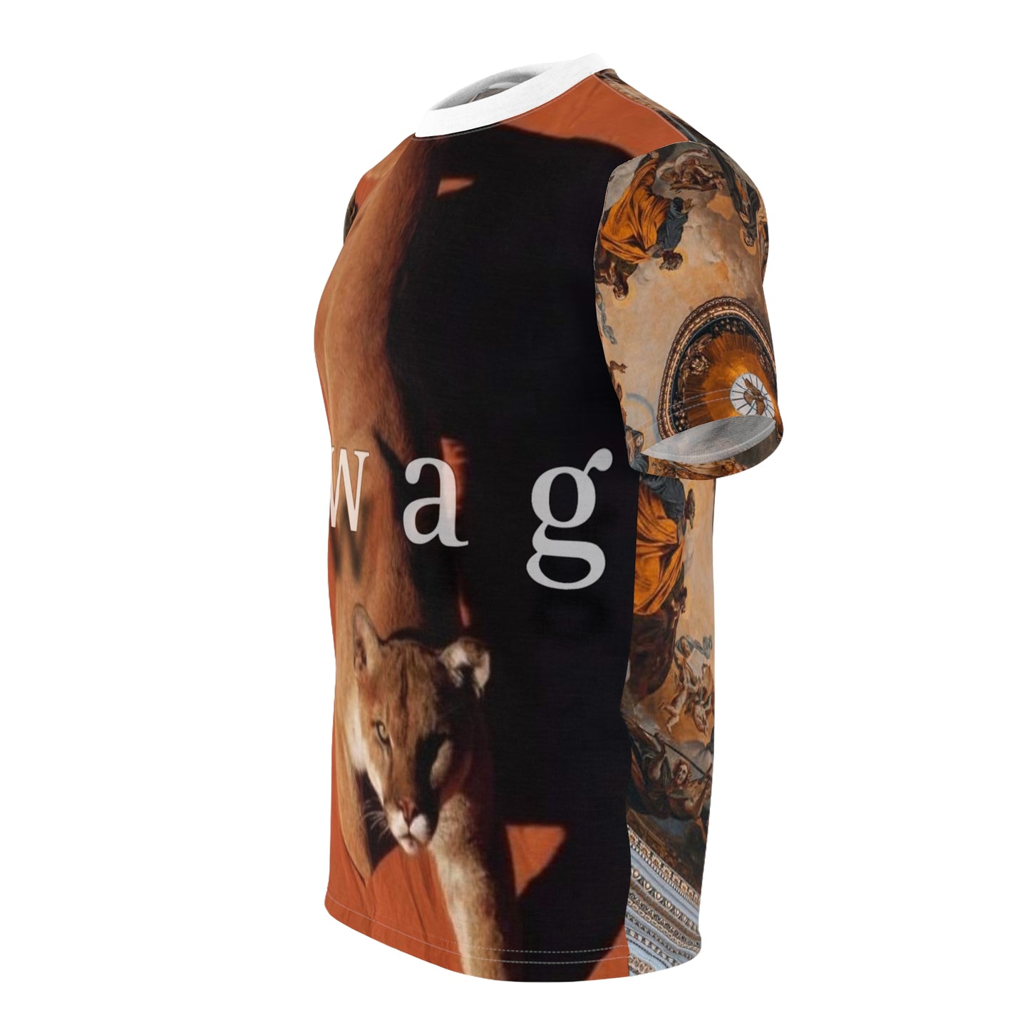 Unisex Cut & Sew Tee (AOP)